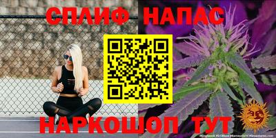 прущие грибы Краснодар