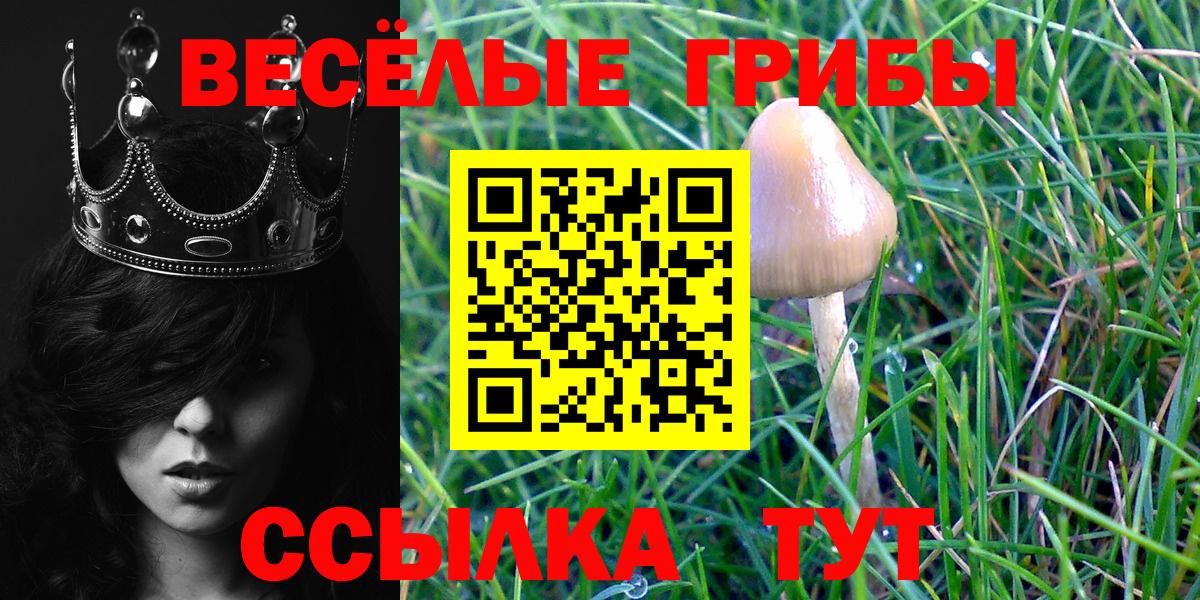 Псилоцибиновые грибы GOLDEN TEACHER Чехов